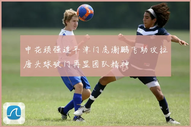 申花顽强追平津门虎谢鹏飞助攻拉唐头球破门再显团队精神
